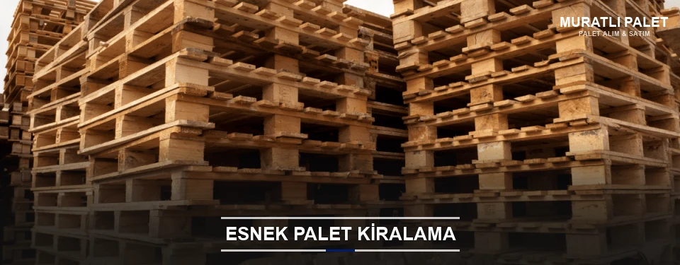 Muratlı Uygun Fiyatlı Palet Kiralama